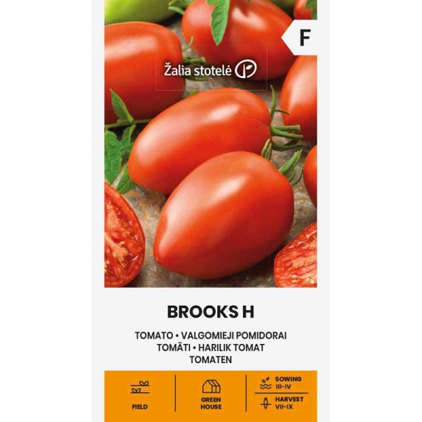 Tomato 'Brooks' H