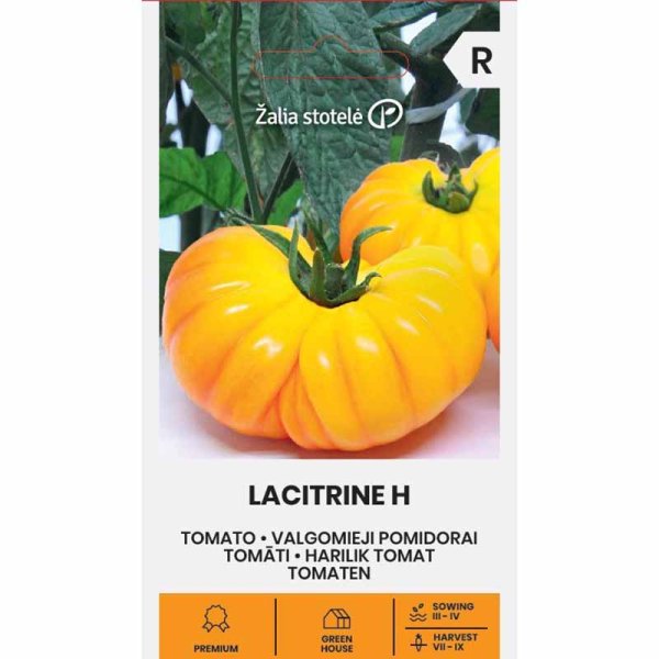 Tomato 'Lacitrine' H
