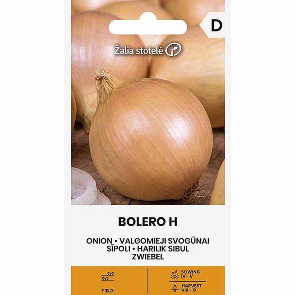 Onion 'Bolero' H