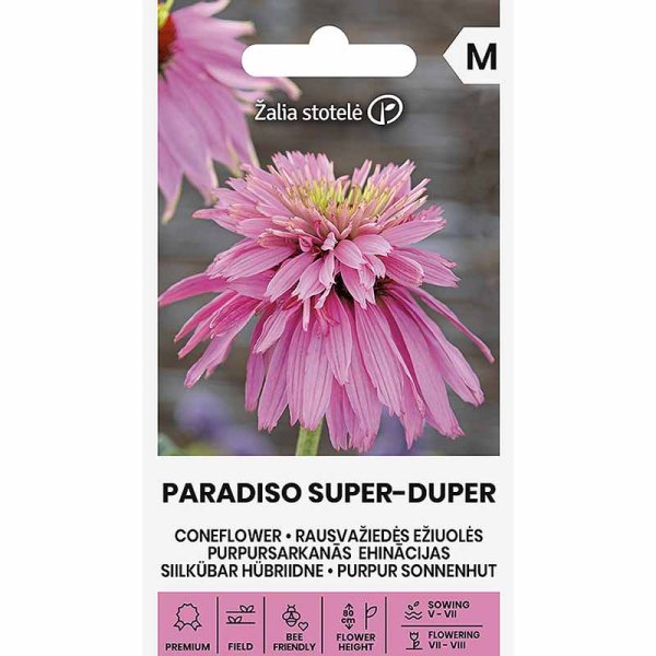 Red Coneflower 'Paradiso Super Duper'