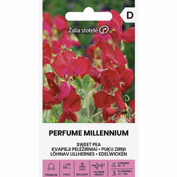 Sweet Pea 'Perfume Millennium'