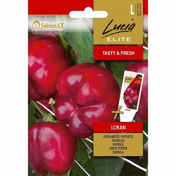 Bell Pepper 'Loran'