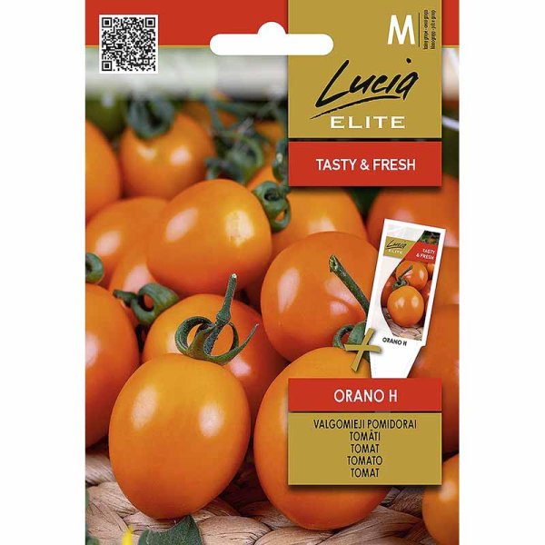 Tomato 'Orano' H