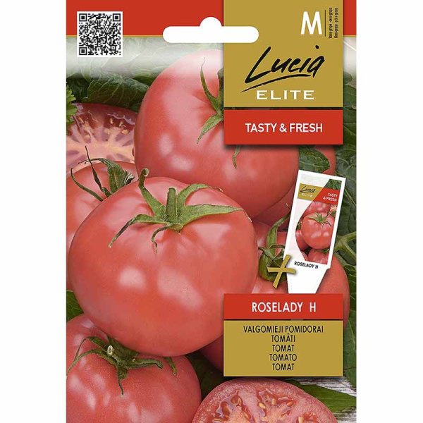 Tomato 'Roselady' H