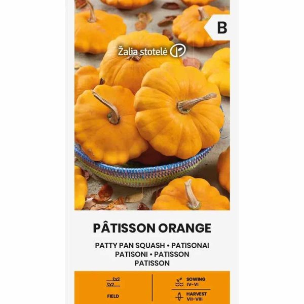 Pattypan Squash 'Patisson orange'