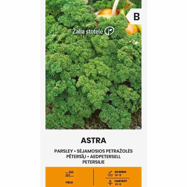 Parsley 'Astra'