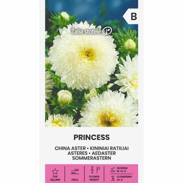 China Aster 'Princess' White