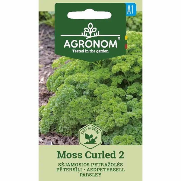 Parsley 'Moss curled 2'