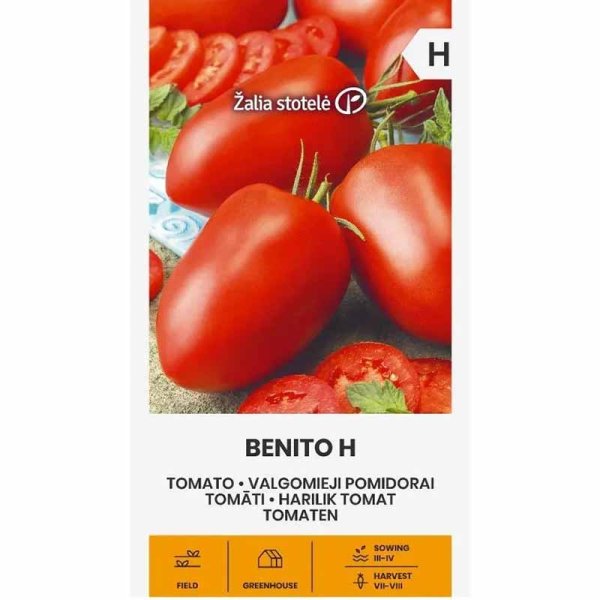 Tomato 'Benito' H