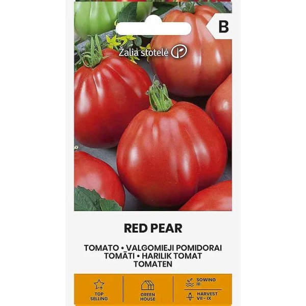 Pear Tomato 'Red pear'