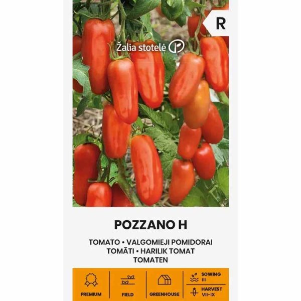 Tomato 'Pozzano' H