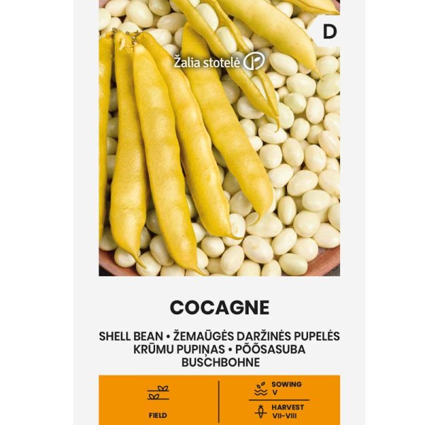 Shell Bean 'Cocagne'
