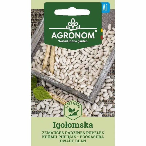 Cooking Bean 'Igołomska'
