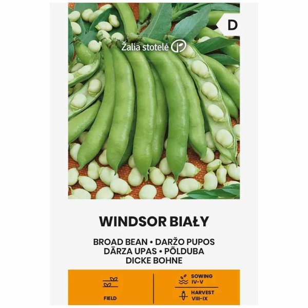 Broad Bean 'Windsor bialy'