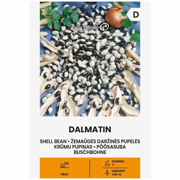 Cooking Bean 'Dalmatin'