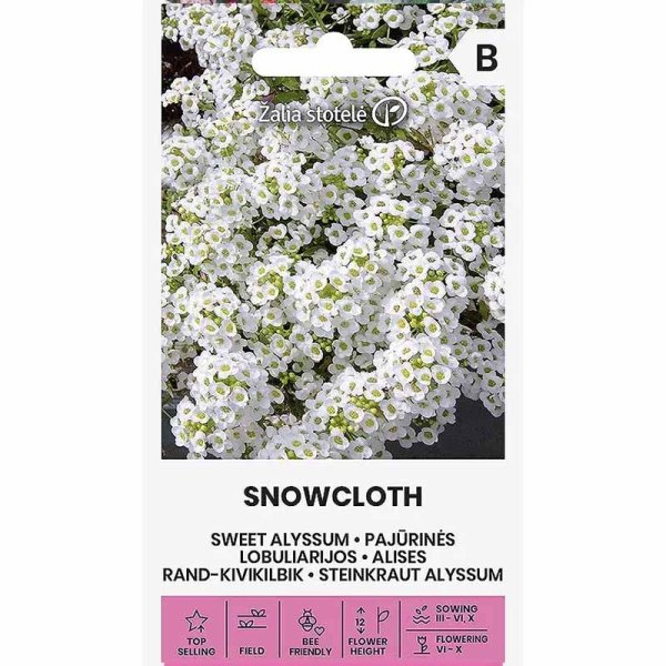 Sweet Alyssum 'Snowcloth'