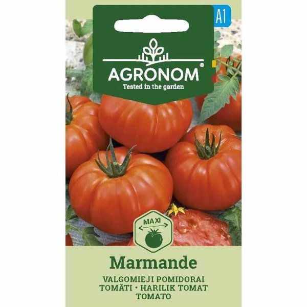 Beefsteak Tomato 'Marmande'