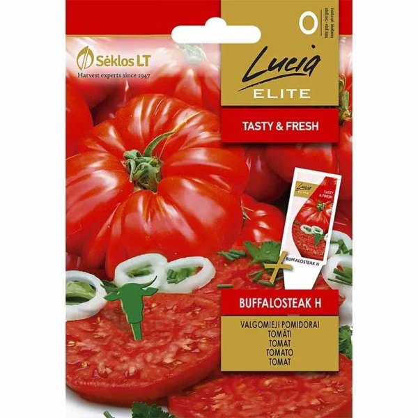 Beefsteak Tomato 'Buffalosteak' H
