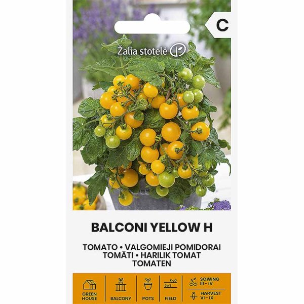 Tomato 'Balconi yellow' H