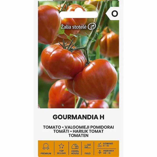 Beefsteak Tomato 'Gourmandia' H