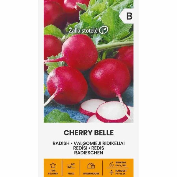 Radish 'Cherry belle'