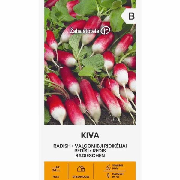 Radish 'Kiva'