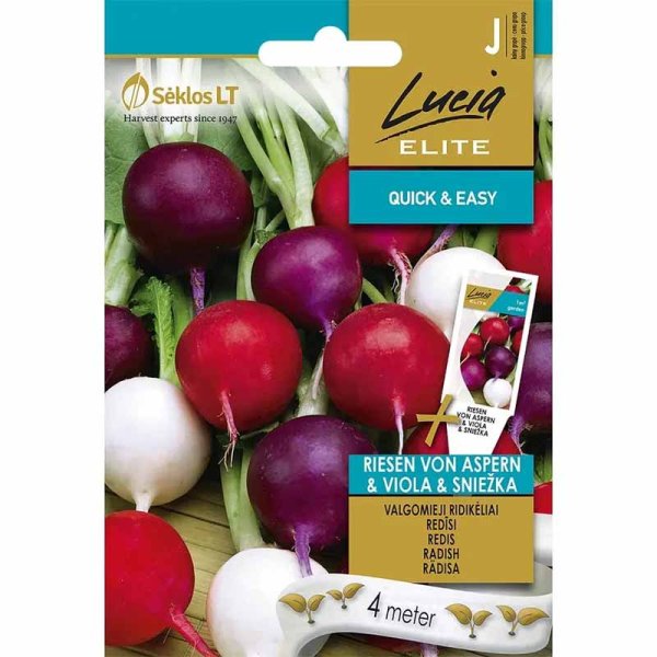 Radish 'Riesen Von Aspern Viola Sniežka'