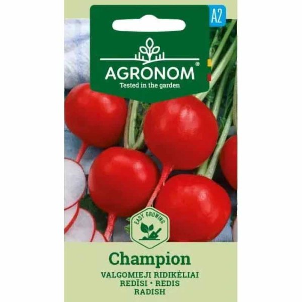 Radish 'Champion'