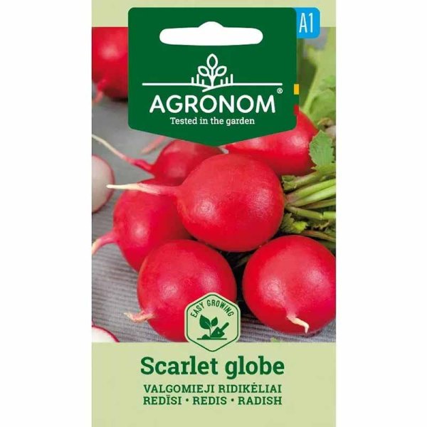 Radish 'Scarlet globe'