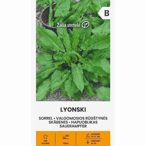 Meadow Sorrel 'Lyonski'