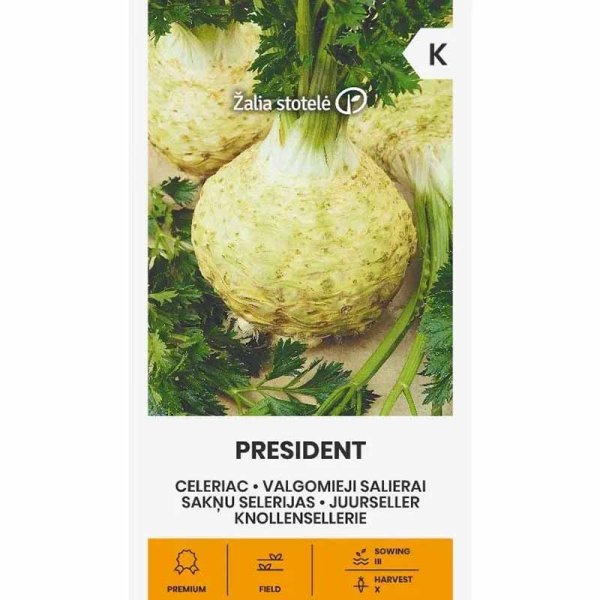 Celeriac 'President'
