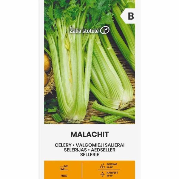 Celery 'Malachit'