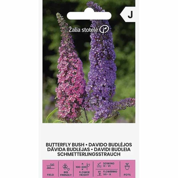 Butterfly Bush