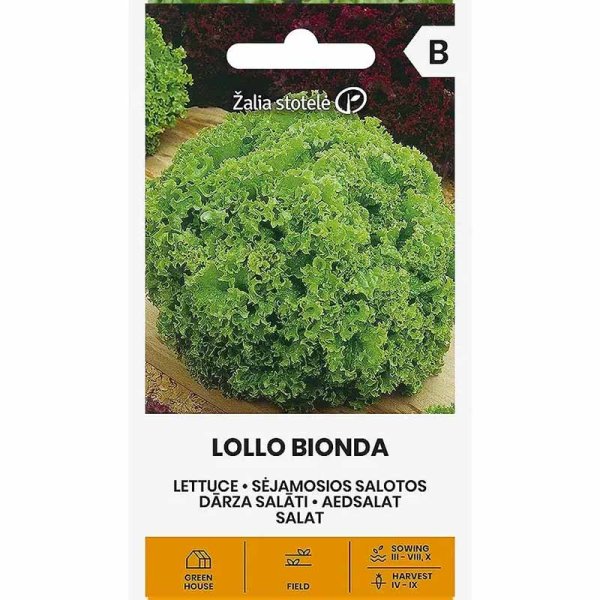 Looseleaf Lettuce 'Lollo Bionda'