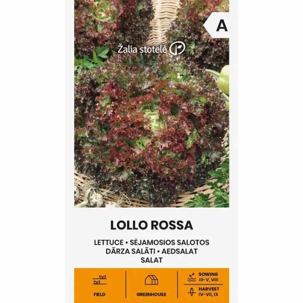 Batavia Lettuce 'Lollo Rossa'