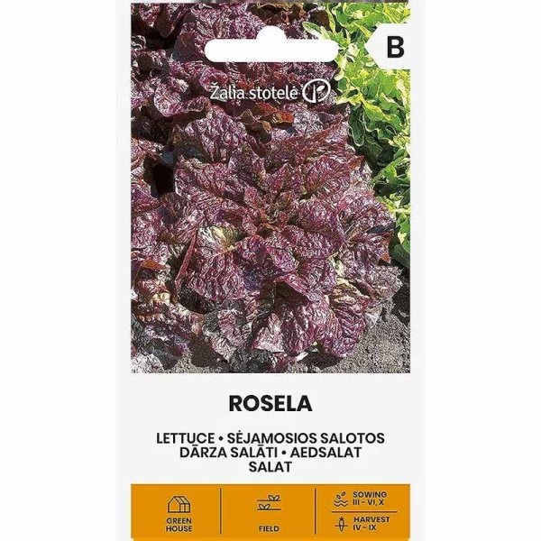 Lettuce 'Rosela'