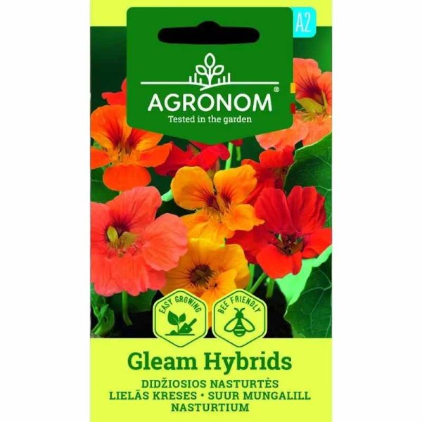 Dwarf Nasturtium 'Gleam Hybrids'