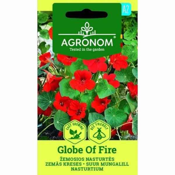 Dwarf Nasturtium 'Globe of Fire'