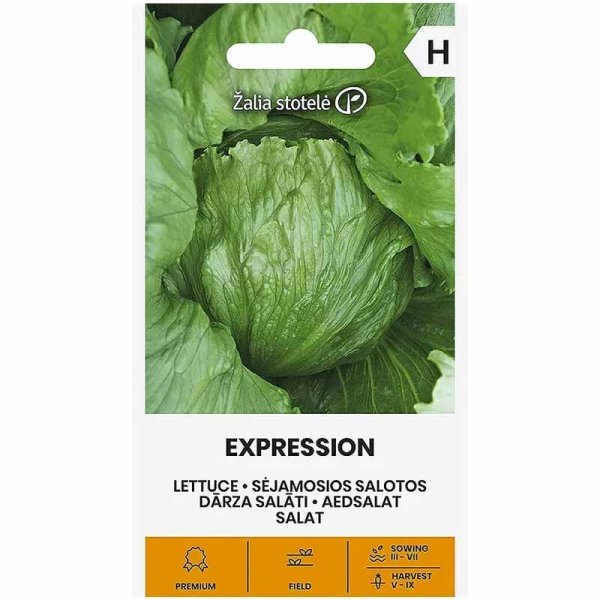 Iceberg Lettuce 'Expression'