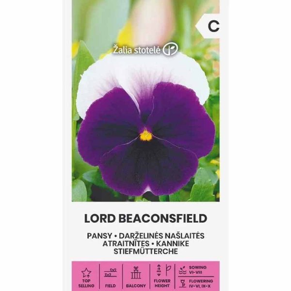 Pansy 'Lord beaconsfield'