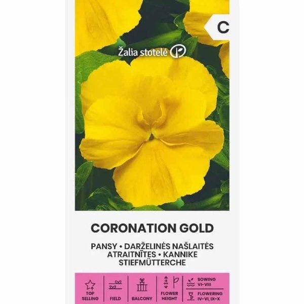Pansy 'Coronation gold'