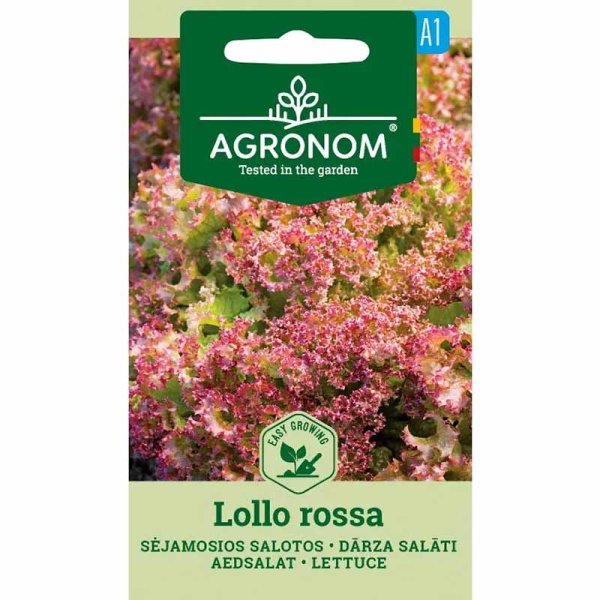 Batavia Lettuce 'Lollo Rossa'