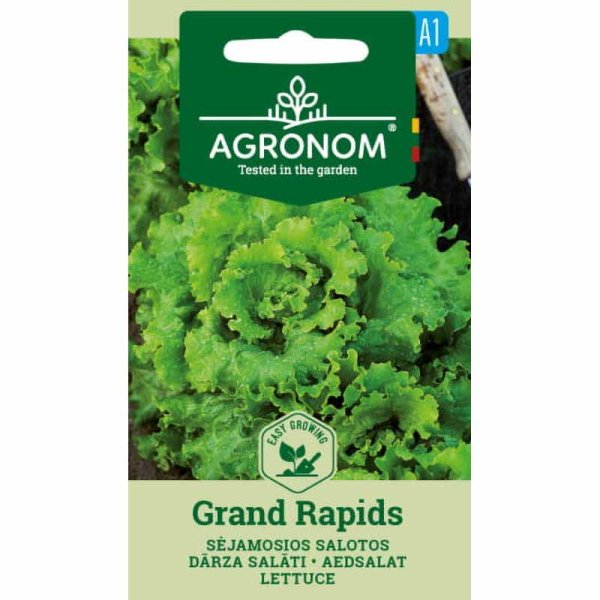 Lettuce 'Grand Rapids'