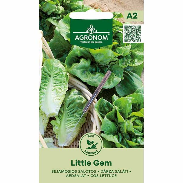 Lettuce 'Little Gem'