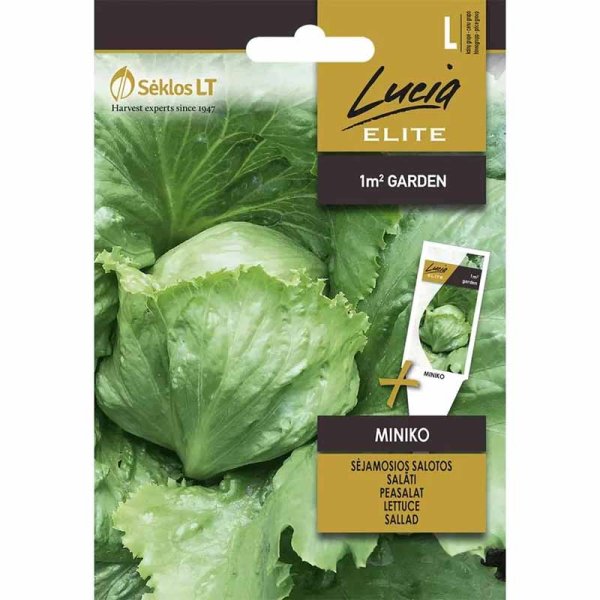 Lettuce 'Miniko'