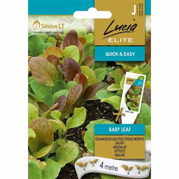Lettuce 'Baby leaf'