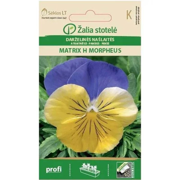Pansy 'Matrix H Morpheus'