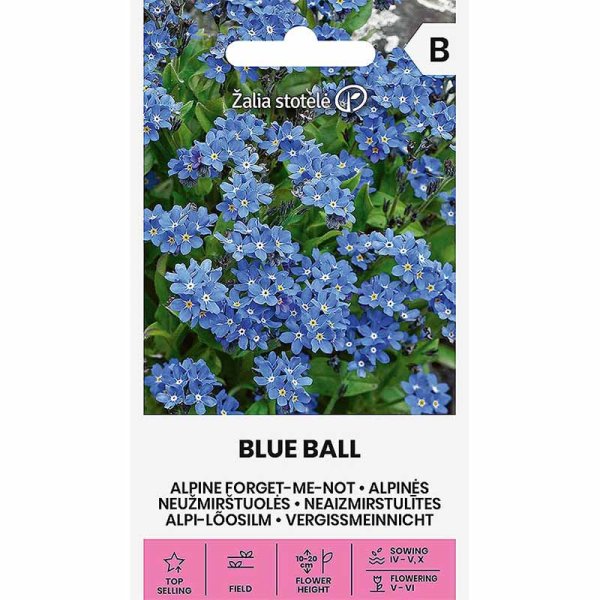 Forget-Me-Not 'Blue ball'
