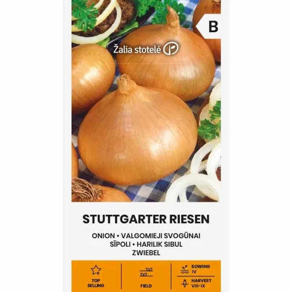 Onion 'Stuttgarter riesen'