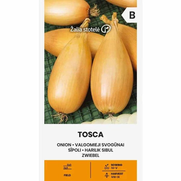 Onion 'Tosca'